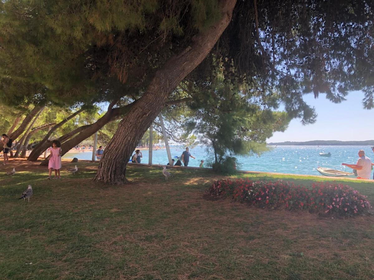 Istrian Stone House In The Heart Of The Beautiful Fishing Village Fazana - Only Few Steps From The Sea And The Wonderful Beach - Incl Plasma-Quad-Plus-Filter Against C O V I D Dış mekan fotoğraf